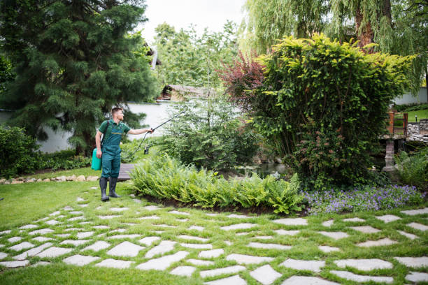 Best Ant Control Services  in Port Reading, NJ