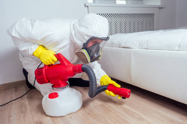 Flea Control Services in Port Reading, NJ