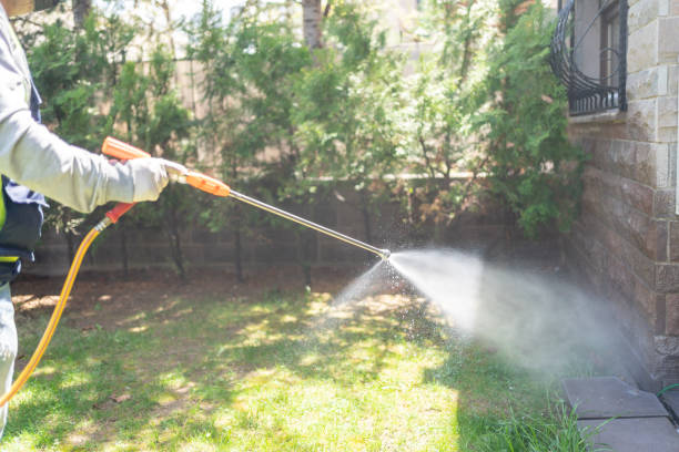 Best Insect Control  in Port Reading, NJ