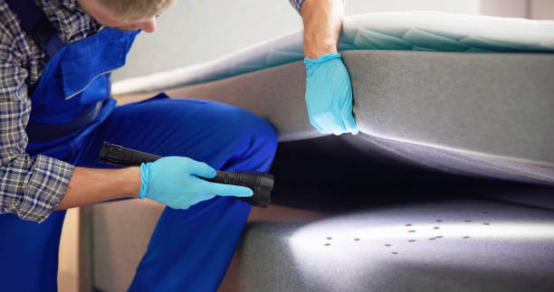 Best Affordable Pest Control Services  in Port Reading, NJ