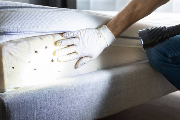 Trusted Port Reading, NJ Pest Control Experts