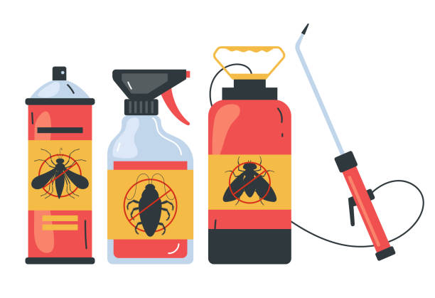 Best Pest Control for Homes  in Port Reading, NJ