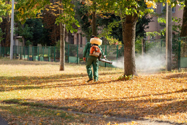 Best Pest Prevention Services  in Port Reading, NJ