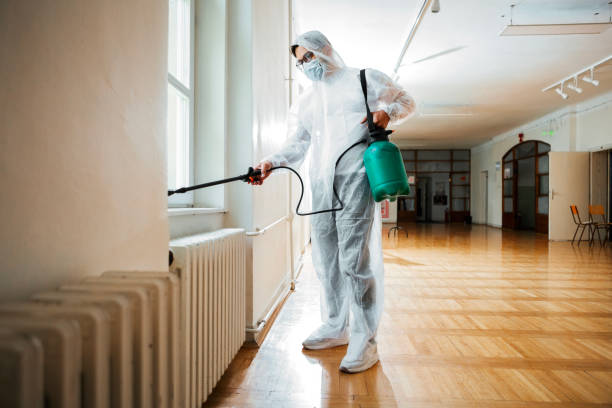 Best Exterminator Services  in Port Reading, NJ