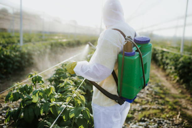 Best Pest Inspection Near Me  in Port Reading, NJ